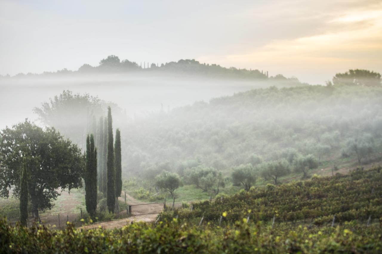 Agriturismo Poggio Corbello La Pesta Экстерьер фото