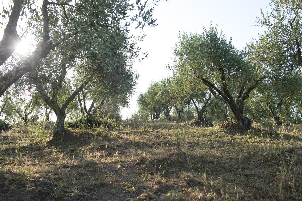 Agriturismo Poggio Corbello La Pesta Экстерьер фото
