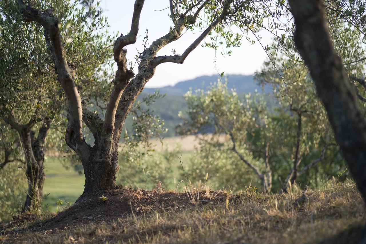 Agriturismo Poggio Corbello La Pesta Экстерьер фото