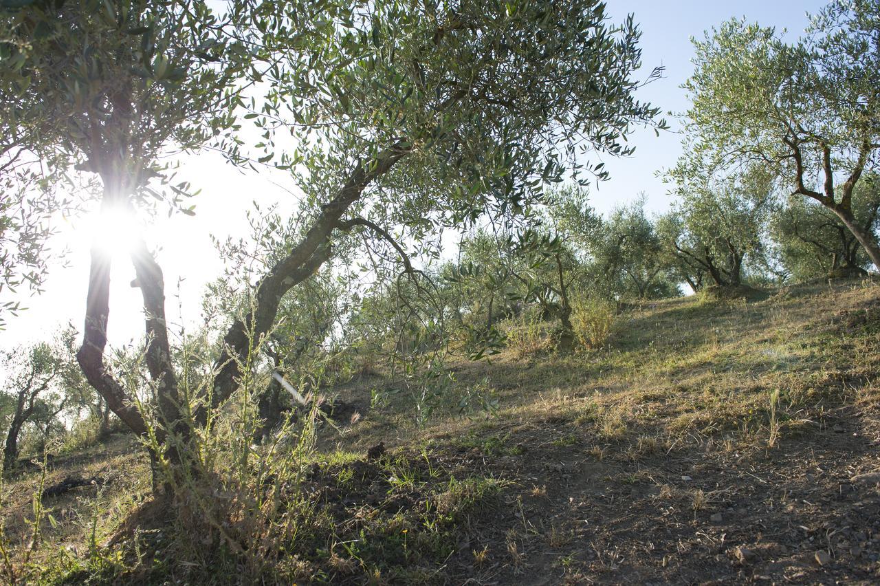 Agriturismo Poggio Corbello La Pesta Экстерьер фото