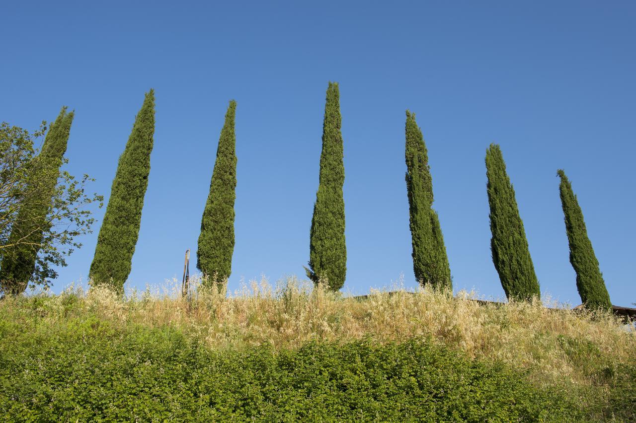 Agriturismo Poggio Corbello La Pesta Экстерьер фото